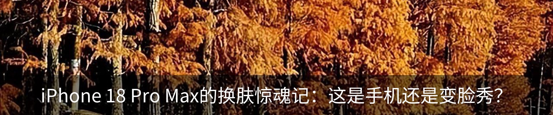 内页banner